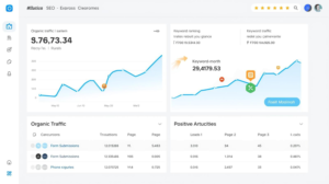 SEO results for a Florida small business showing organic traffic growth, keyword ranking improvements, and increased leads