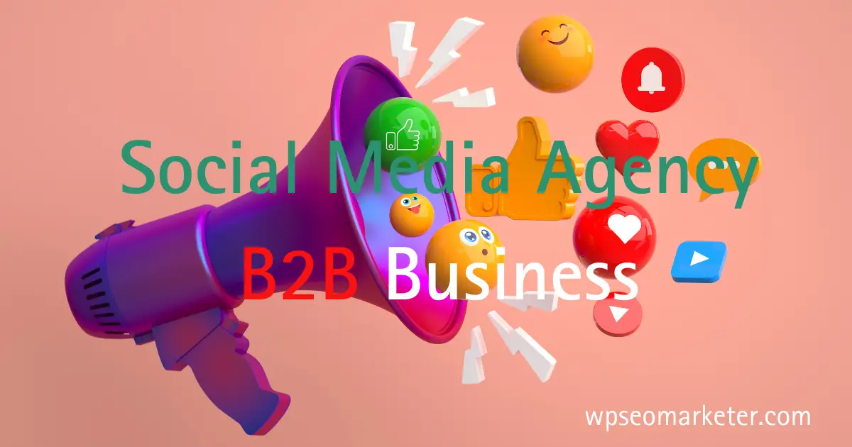 Social Media Agency for B2B