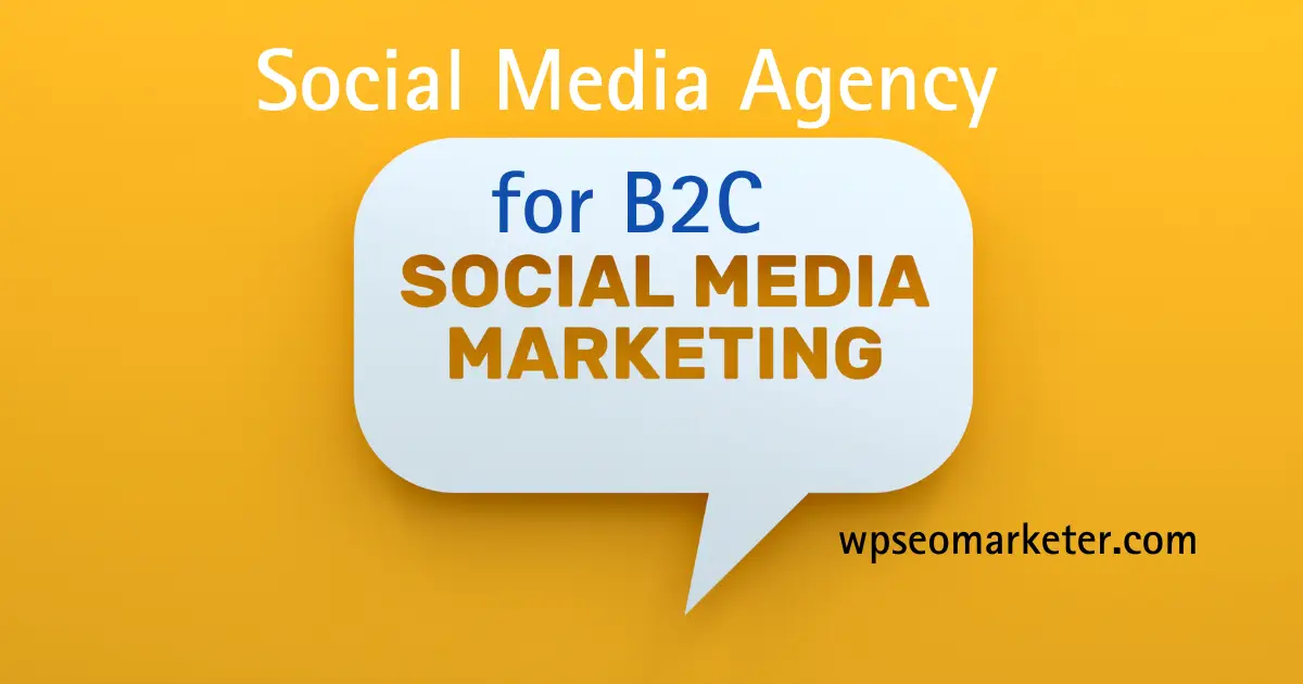 Social Media Agency for B2C