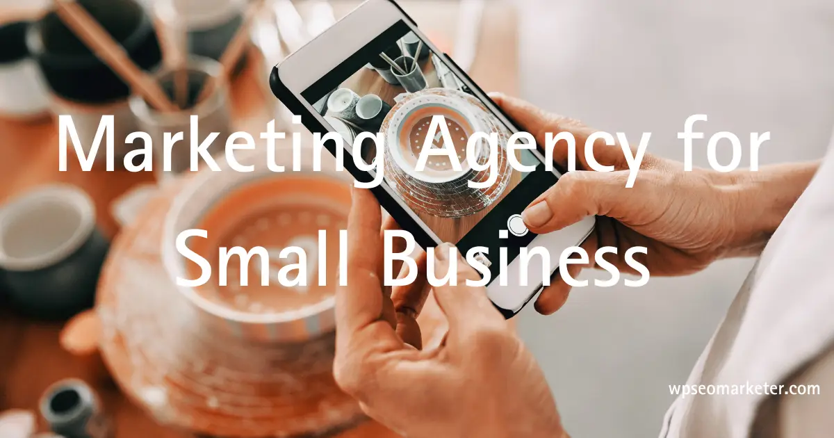 Social Media Marketing Agency for Small Business