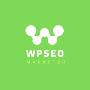 Trusted SEO company helping small businesses in Florida grow online
